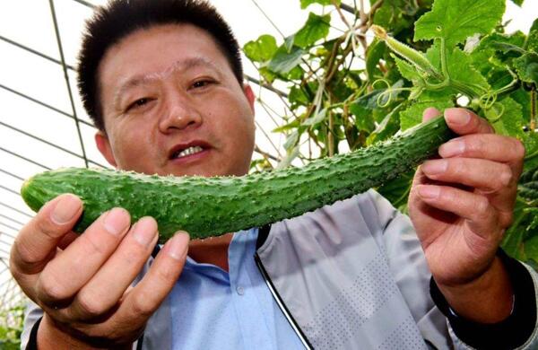 生鮮食材配送為什么大多不能與客戶建立長期合作？